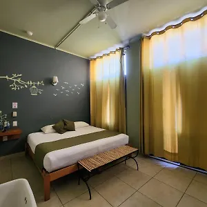 https://hotel-plaza-queretaro.hotels-in-queretaro.com